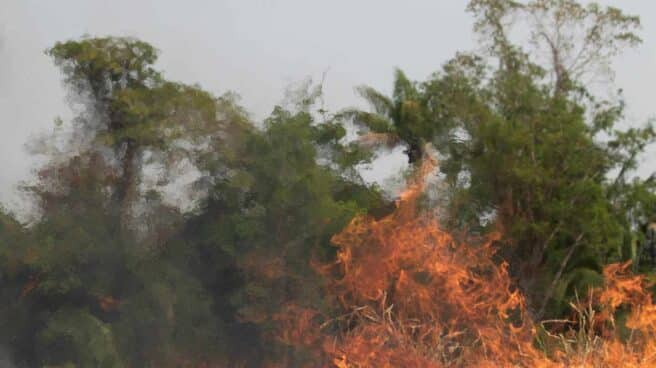 Incendios en el Amazonas.