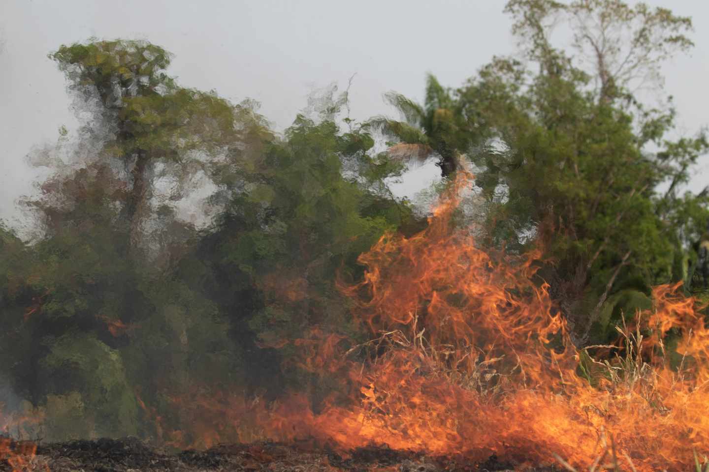 Incendios en el Amazonas.