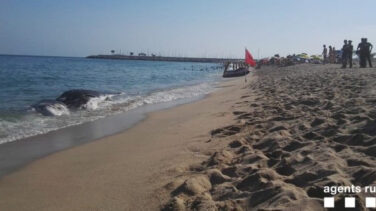 Prohiben el baño en una playa de Mataró por la presencia de una ballena muerta