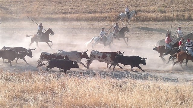 Encierro