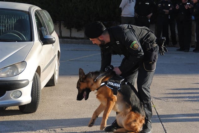 Imagen de archivo de una unidad canina