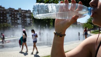 ¿Se mantendrá el calor asfixiante en agosto?