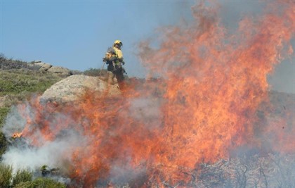 El fuego arrasa más de 56.000 hectáreas solo este año, más del cuádruple que 2018