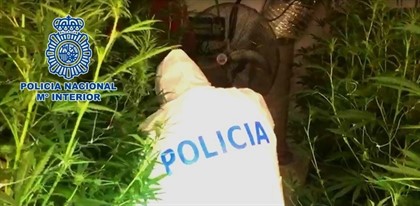 Policía Nacional marihuana