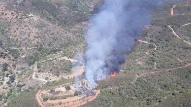 El incendio de Estepona habría sido provocado y obliga a desalojar 800 viviendas