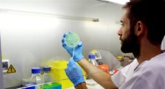 La ministra de Sanidad afirma que se revisará el protocolo de listeria por la crisis