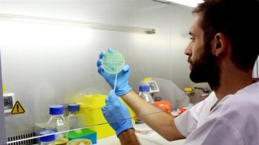 Descubren unos compuestos naturales "muy efectivos" para luchar contra la listeria