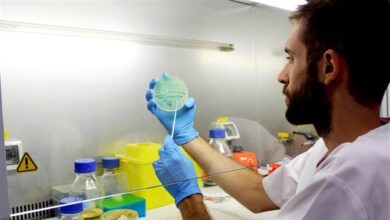 La ministra de Sanidad afirma que se revisará el protocolo de listeria por la crisis