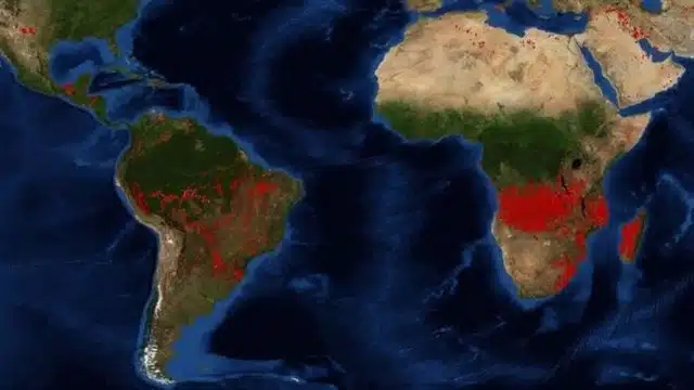 África Central arde con mayor número de focos activos que el Amazonas