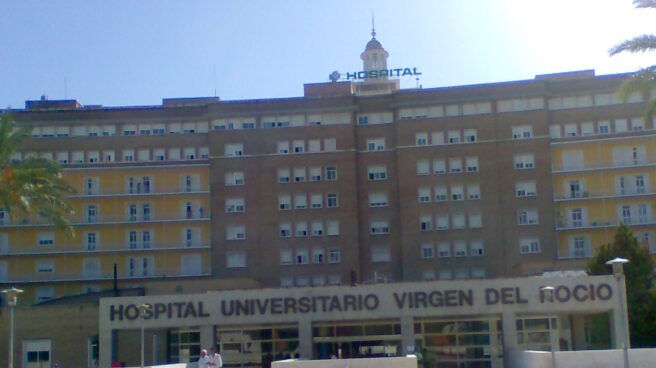 Una paciente del Hospital Virgen del Rocío, aislada por una posible fiebre Crimea-Congo