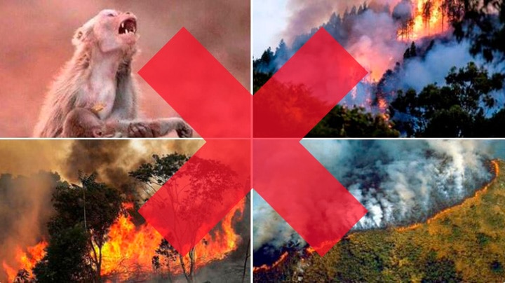 Todas las imágenes que has visto sobre el incendio del Amazonas son mentira