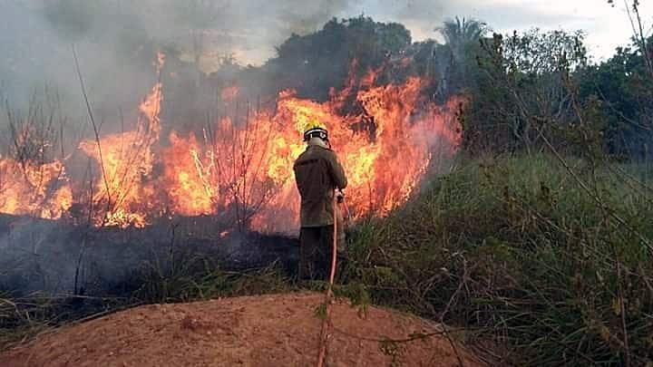 Foco activo de un incendio en la región brasileña de Rio Branco.