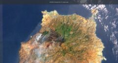 El Parque Natural arrasado en Gran Canaria tardará "al menos 20 años" en recuperarse