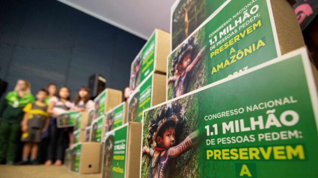 Diversas ONG se han movilizado para reclamar leyes de protección para el Amazonas en Brasil.