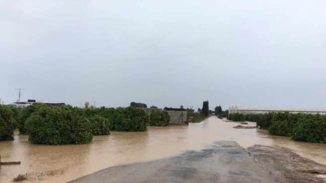 Campo inundado en San Javier (Murcia).