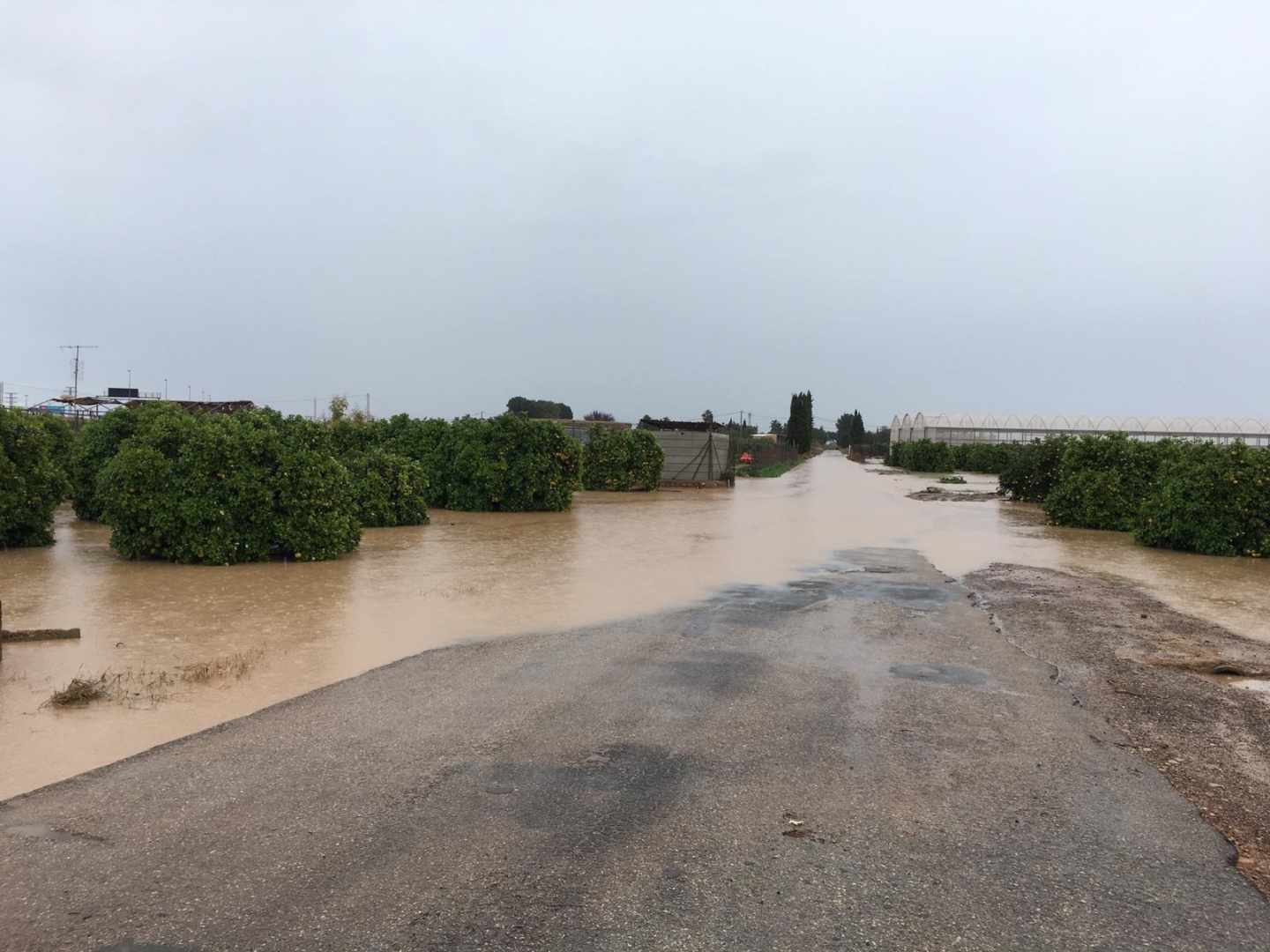 Campo inundado en San Javier (Murcia).