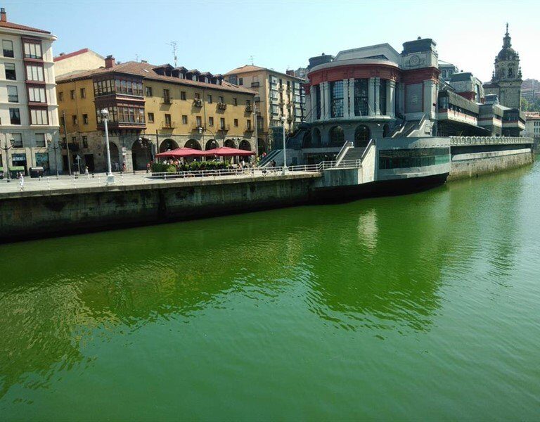 Tiñen de verde con sustancias químicas la ría de Bilbao para protestar contra el G-7