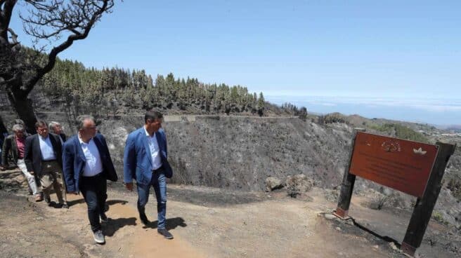 Pedro Sánchez, este jueves durante su visita a la zona afectada por el incendio de Gran Canaria.