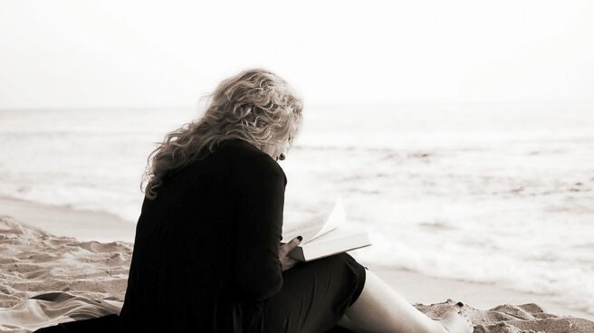 read_book_reading_literature_books_culture_sitting_reader-1099850