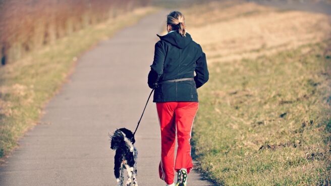 Paseador de perros Paseador de perros