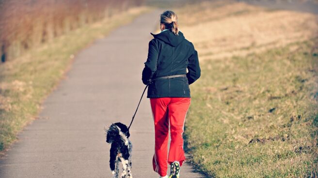 Paseador de perros