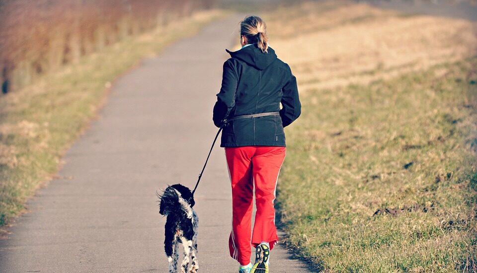 Paseador de perros