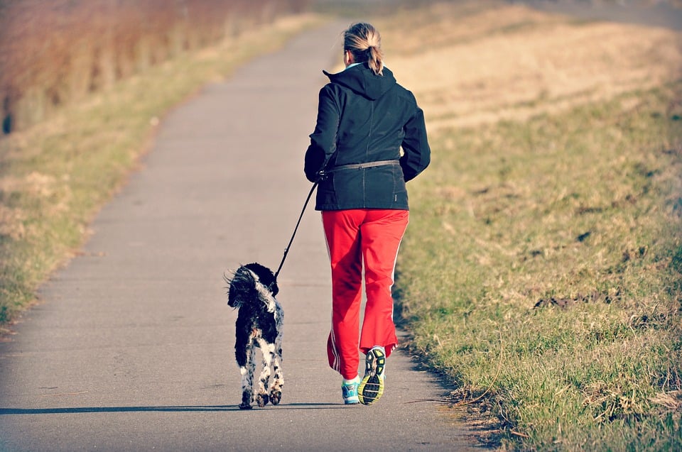 Paseador de perros