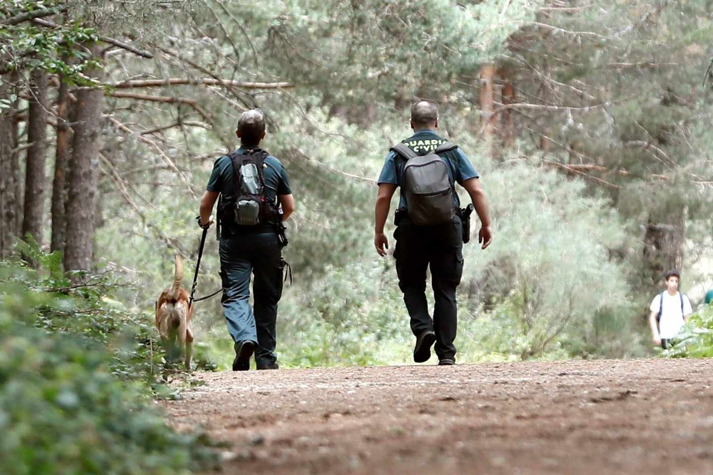 Agentes durante la búsqueda en Cercedilla de Blanca Fernández Ochoa.