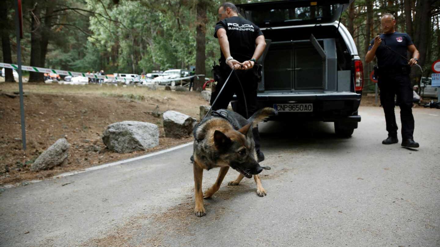 Un perro rastreador durante el operativo de búsqueda de Fernández Ochoa.