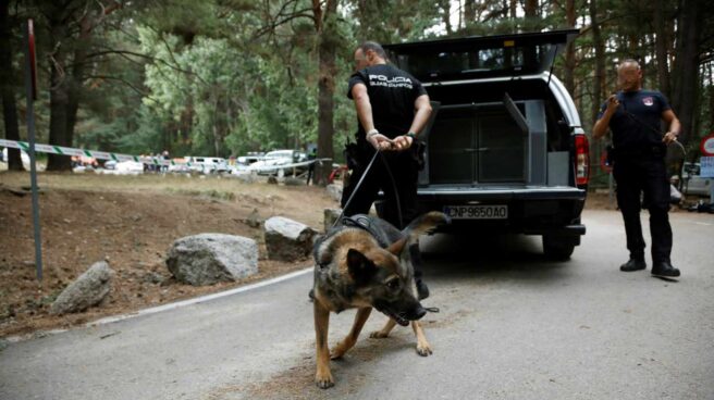Un perro rastreador durante el operativo de búsqueda de Fernández Ochoa.