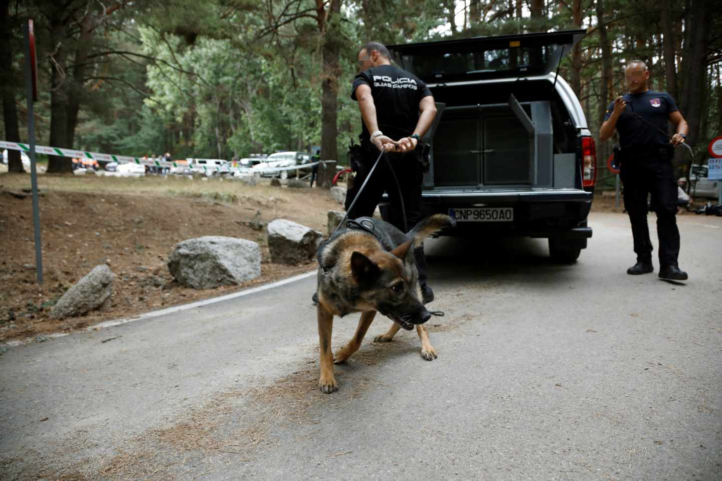 Un perro rastreador durante el operativo de búsqueda de Fernández Ochoa.