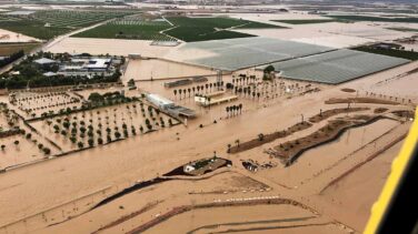 Greenpeace, Ecologistas y Oxfam demandan al Gobierno "por inacción ante el cambio climático"