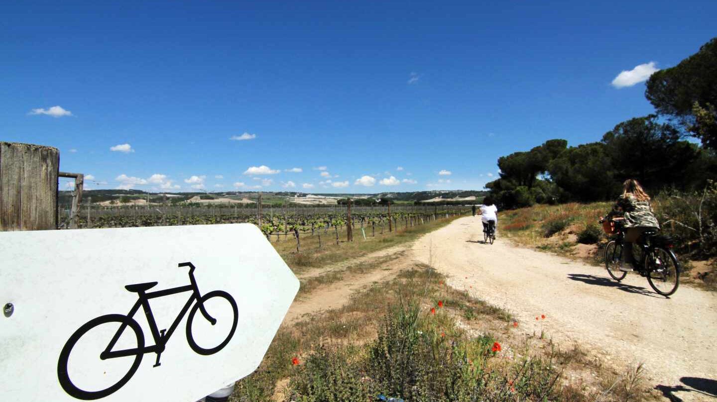 Paseo en bici por Finca Villacreces