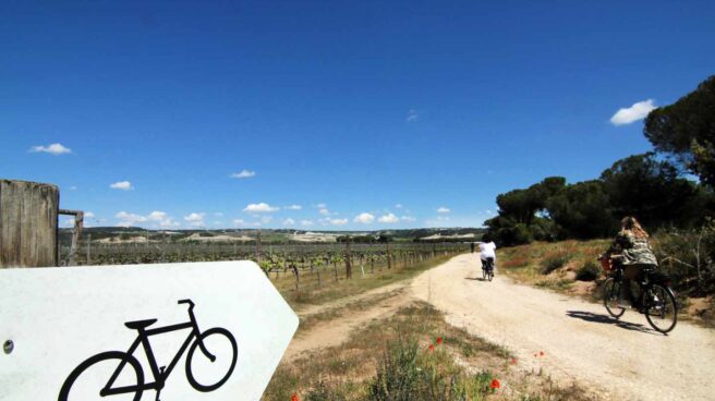 Paseo en bici y picnic con vino en el Duero