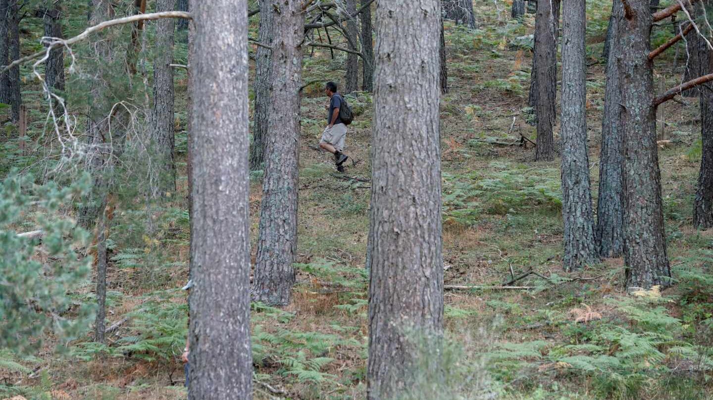 Investigadores y voluntarios rastrean la sierra de Madrid en búsqueda de la exesquiadora Blanca Fernández Ochoa.