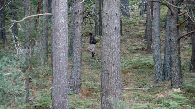 Investigadores y voluntarios rastrean la sierra de Madrid en búsqueda de la exesquiadora Blanca Fernández Ochoa.