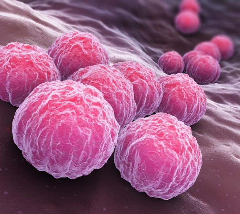 Clamidia, la silenciosa y creciente amenaza de la fertilidad femenina