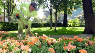Sanitarios y jardineros, los que más faltan al trabajo