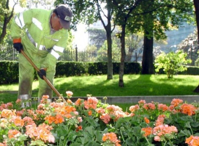 Sanitarios y jardineros, los que más faltan al trabajo