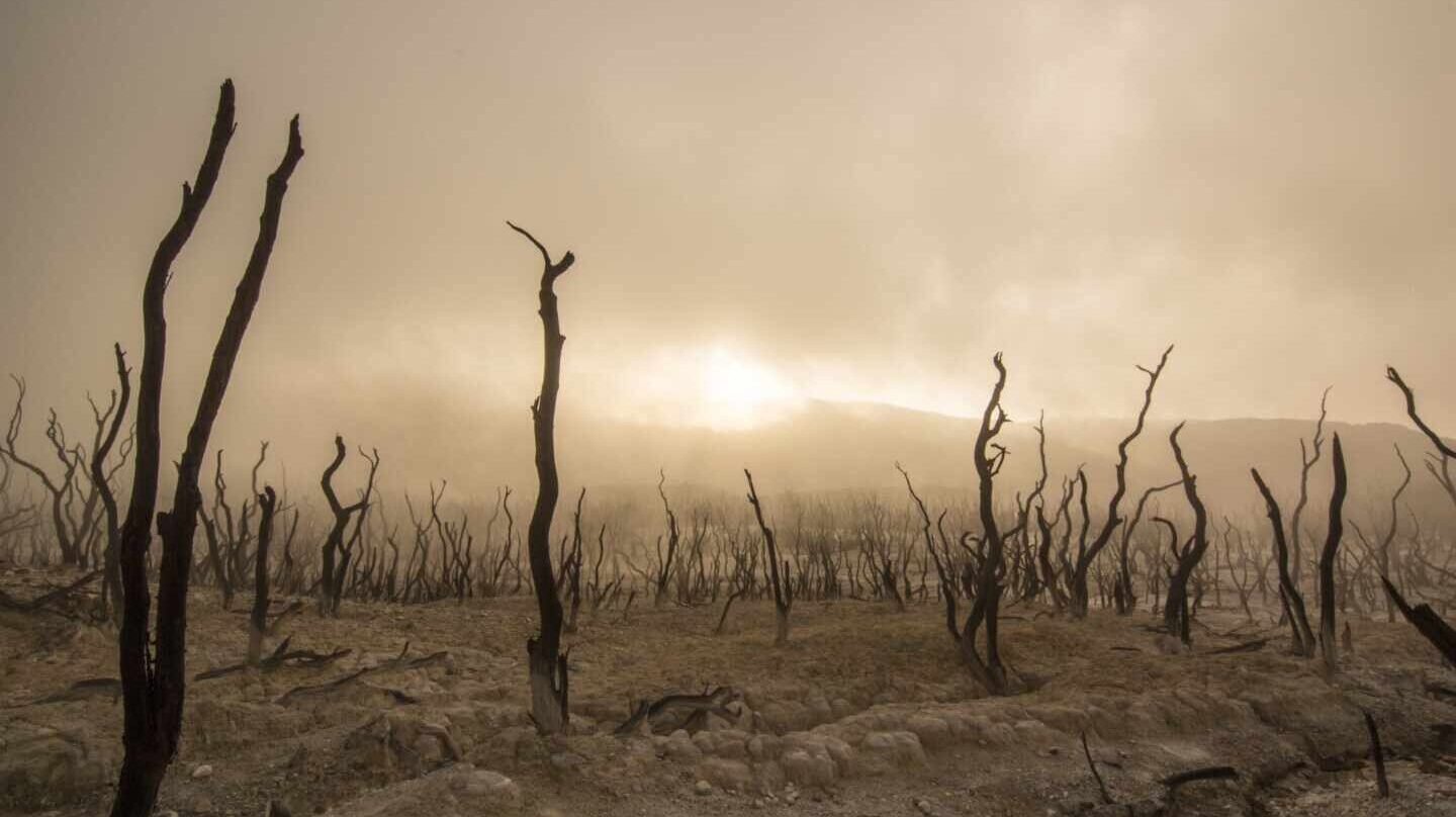 Cómo afecta el cambio climático a las inversiones