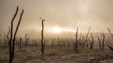 Cómo afecta el cambio climático a las inversiones