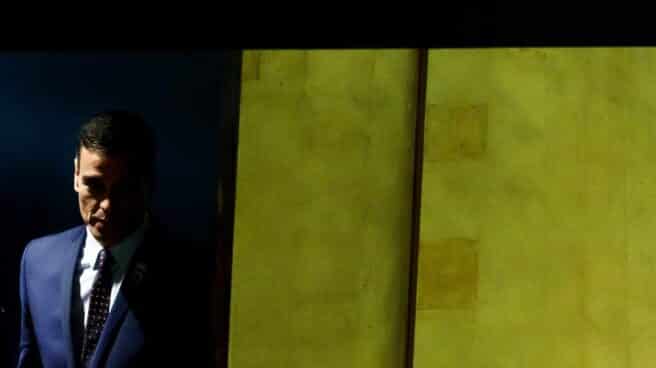 cropped-pedro_sanchez_onu.jpg