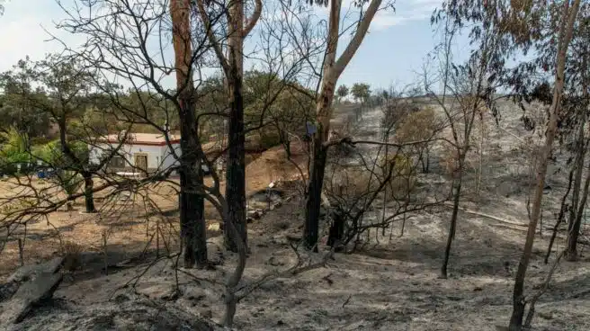Dan por controlado el incendio de El Ronquillo (Sevilla) tras arrasar 120 hectáreas