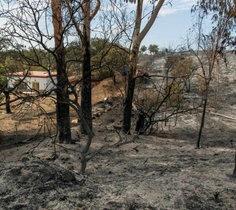 Dan por controlado el incendio de El Ronquillo (Sevilla) tras arrasar 120 hectáreas