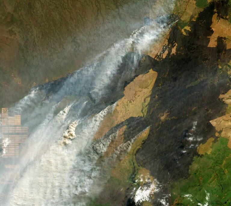 Un militar de la UME dirigirá el equipo contra los incendios del Amazonas en Bolivia