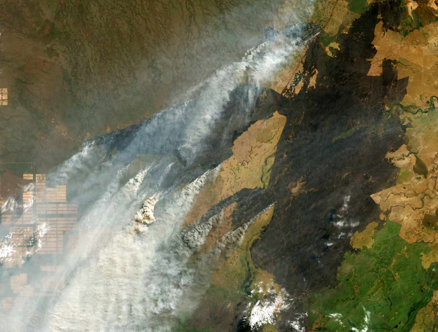 Imagen tomada por la NASA sobre los incendios que golpean la región del Amazonas en Bolivia.