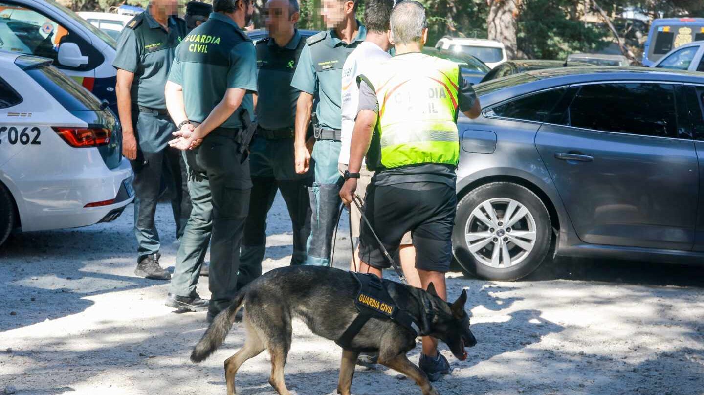 Xena la perra que encontró el cuerpo sin vida de Blanca Fernández Ochoa.