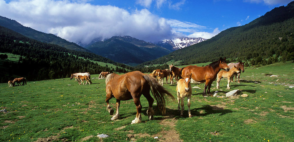  Valle de Arán, Lleida