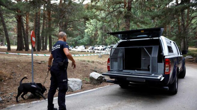 Benji y Brutus, así trabajan los perros de la Policía Nacional las montañas de Cercedilla