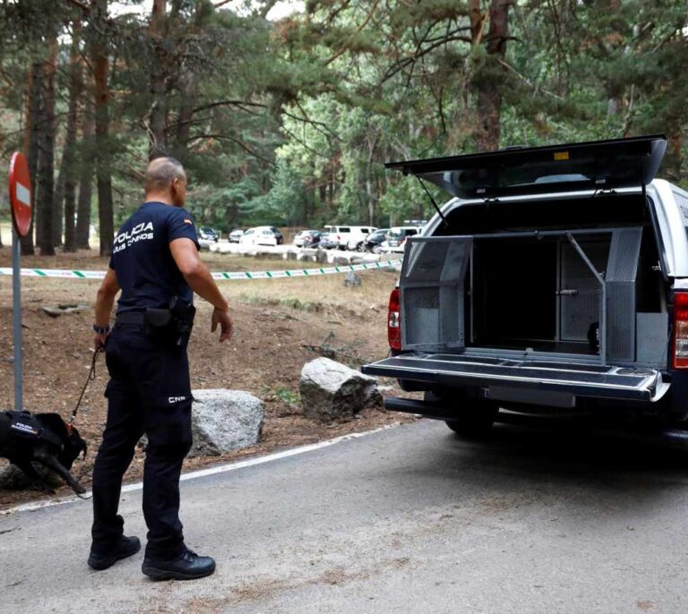 Benji y Brutus, así trabajan los perros de la Policía Nacional las montañas de Cercedilla